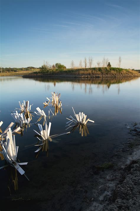 Construction Starts on Two Dry Creek Fish Habitat Projects - StructureSpot