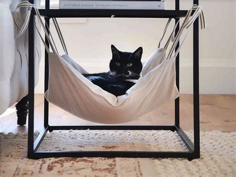 35 DIY Cat Hammock Ideas For Kittens - DIYnCrafty