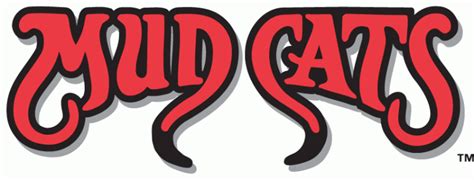 Carolina Mudcats wordmark 2 Logo (1991)