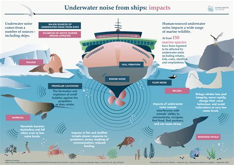 Infographic: Underwater Noise From Ships - Clean Arctic Alliance