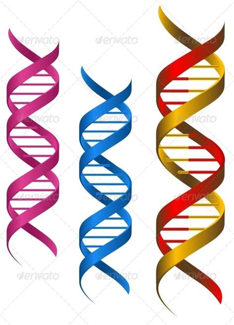 DNA Elements