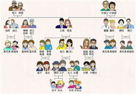 Chinese Family tree | Chinese language learning, Mandarin chinese ...