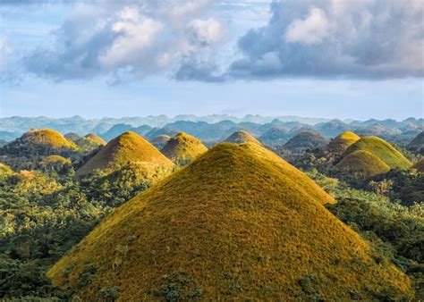 Premium Photo | Famous chocolate hills aerial drone view bohol island ...