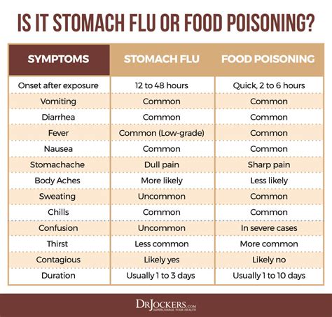 Food Poisoning: Causes, Symptoms & Support Strategies - DrJockers.com