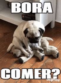 Pug Eat GIF - Pug Eat Letseat - Discover & Share GIFs