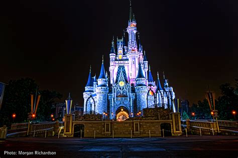 Cinderella Castle - MiceChat