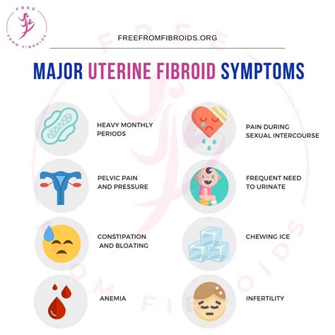 Uterine Fibroids: How Fast Do They Grow & What Size Do They Reach?