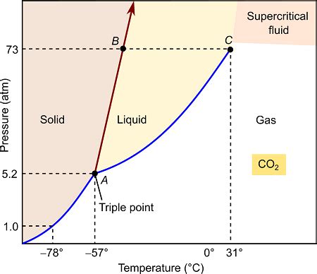 Refer to the following phase diagram of CO2. What phase of CO2 exists ...