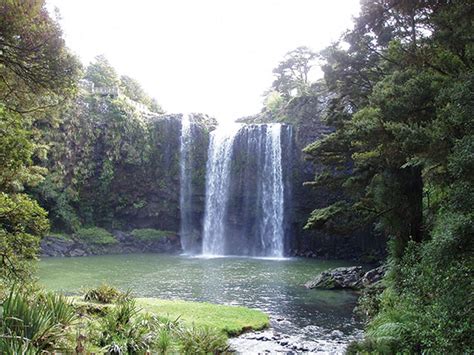 Otuihau Whangārei Falls - Whangarei District Council