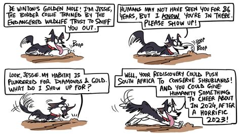 Green Humour by Rohan Chakravarty on rediscovery of De Winton’s golden ...