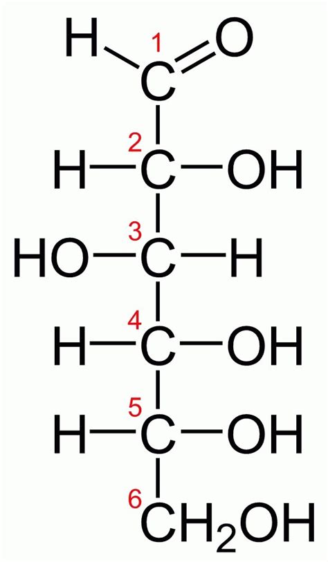 Draw two structures (one straight chain and one ring) of a carbohydrate ...