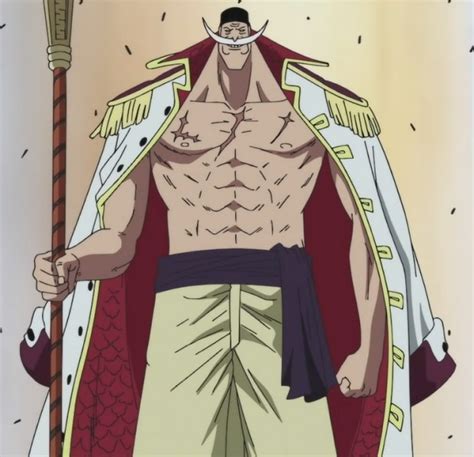 Captian Whitebeard - Edward Whitebeard Newgate Photo (31858222) - Fanpop