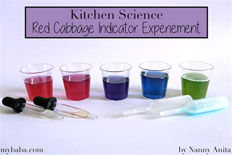 Kitchen Science: Red Cabbage Indicator Experiment | Nanny Anita | My Baba