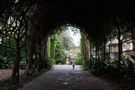 Houmas House Plantation and Gardens | Submerged Oaks