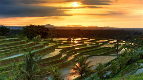 famous-jatiluwih-rice-terraces-on-bali-during-sunrise-indonesia-1920× ...