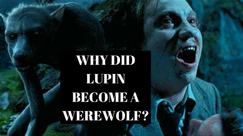 Why Remus Lupin Was Turned Into A Werewolf - YouTube