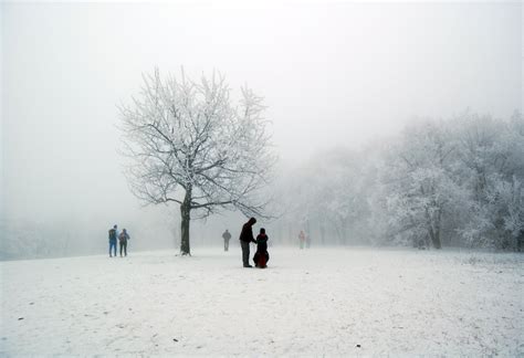 Online Jigsaw Puzzle - Family Snow Day