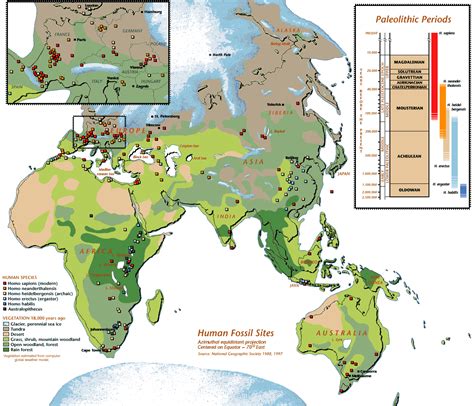 Handprint : Ancestral Lines | Human fossils, Ancient maps, Ancient ...