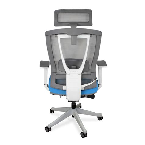 ErgoChair 2 Review: The Wisest Choice for an Office Chair – Web Design ...