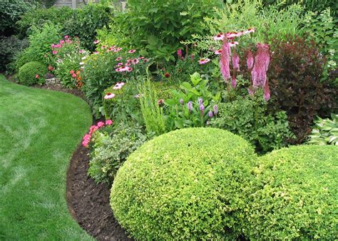 Evergreens mixed with perennials in the beds around the house | Garden ...