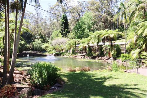 Tamborine Mountain Regional Botanic Gardens