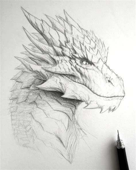 Dragon Head Pencil Drawings