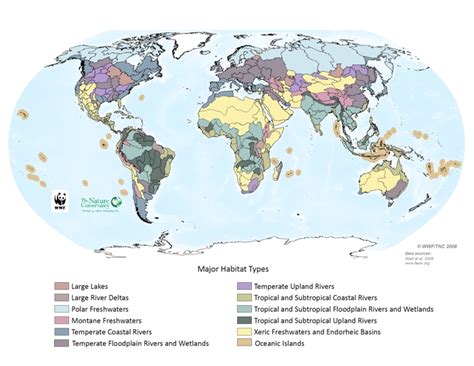 Freshwater Wetland Map