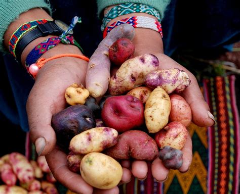 Peru culinary experience: Potato and Ají - Aracari Travel