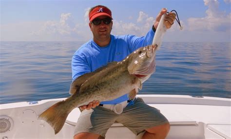 Panama City Beach fishing- Summer 2014