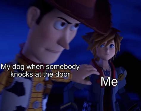 My Dog | Woody Holding Sora Back | Know Your Meme