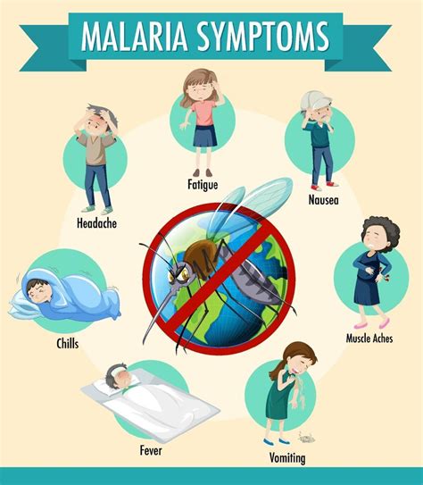 Malaria symptom information infographic 1928985 Vector Art at Vecteezy