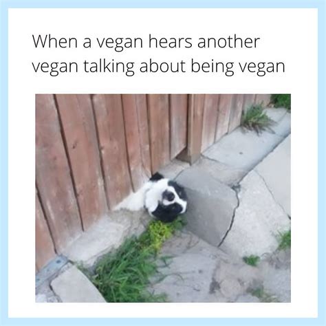 16 Relatable Funny Vegan Memes To Share | VegNews