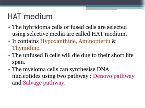 Hybridoma technology