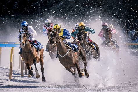 Esportebet em corridas de cavalos: tipos, análise e estratégias de jogo ...