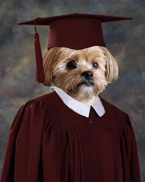 A Dog’s Elementary School Graduation Picture Takes Center Stage in ...