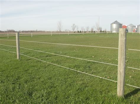 Horse fencing considerations