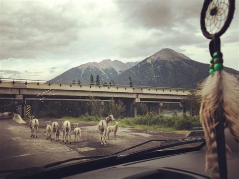 How to Make the Most Out of Banff and Jasper National Parks | Outdoorsy.com