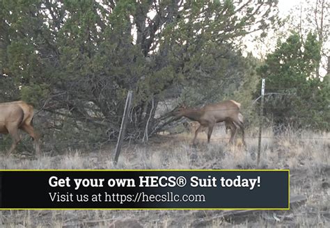 Elk Hunting Gear | Best Hunting Concealment Apparel