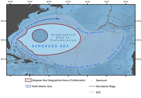 Greenpeace: Bermuda Triangle and Sargasso Sea Plastic Problem ...