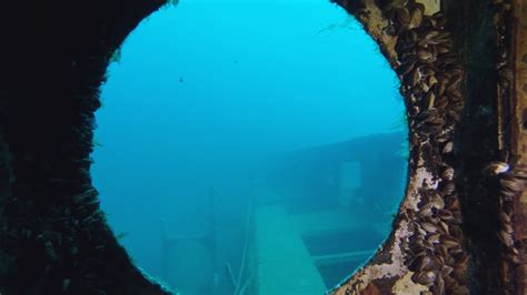 Tobermory Shipwreck Diving: Niagara II 2016 Part 3 (Stern) - YouTube