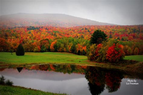 Beautiful fall foliage in Vermont-October 2016. Photo by Liz Freeman ...