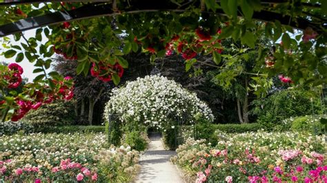 Dunham Massey’s garden | Greater Manchester | National Trust