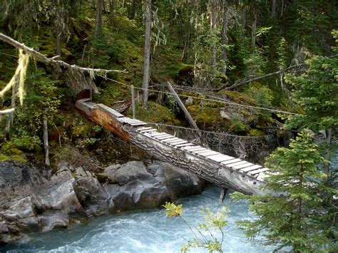 Log bridge over Palliser River 2008 : Photos, Diagrams & Topos : SummitPost