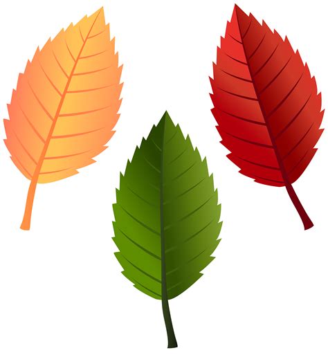 Fall Leaves Clip Art Free Printable