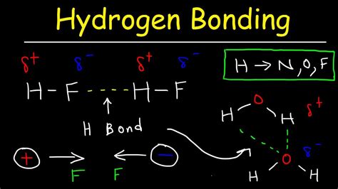 How Do Hydrogen Bonds Compare With Other Intermolecular Forces Apex ...