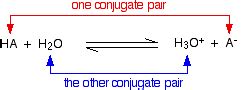 How do Bronsted-Lowry acids and bases form conjugate pairs? | Socratic