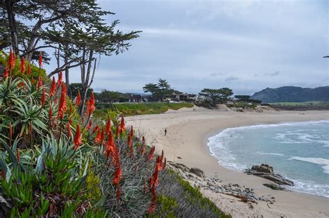 A Weekend in Carmel-by-the-Sea, California | Ever In Transit