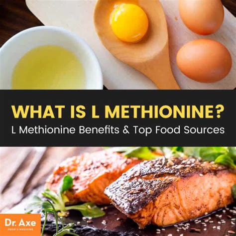 L Methionine Benefits & Top Food Sources - Dr. Axe