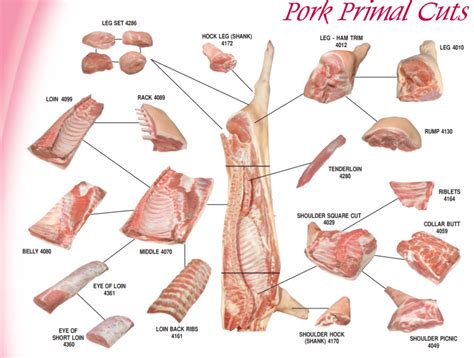 Pork Meat Diagram