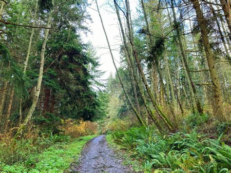 The Best Whidbey Island Hikes – Top Left Adventures